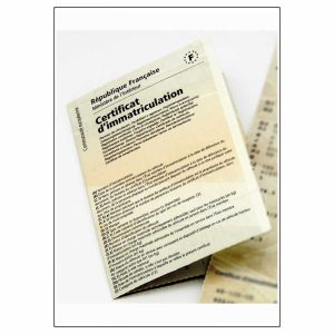 TRADUCTION CARTE GRISE