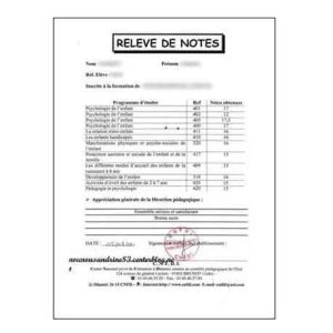 TRADUCTION RELEVÉ DE NOTES SANS APPRÉCIATION