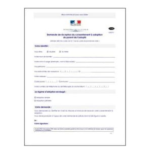 TRADUCTION DEMANDE D ADOPTION